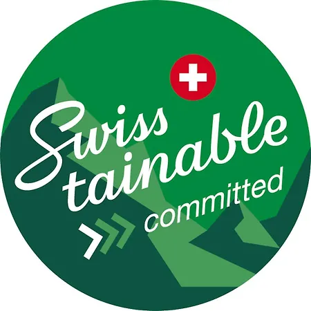 Apartment Renove Et Chaleureux En Plein Centre